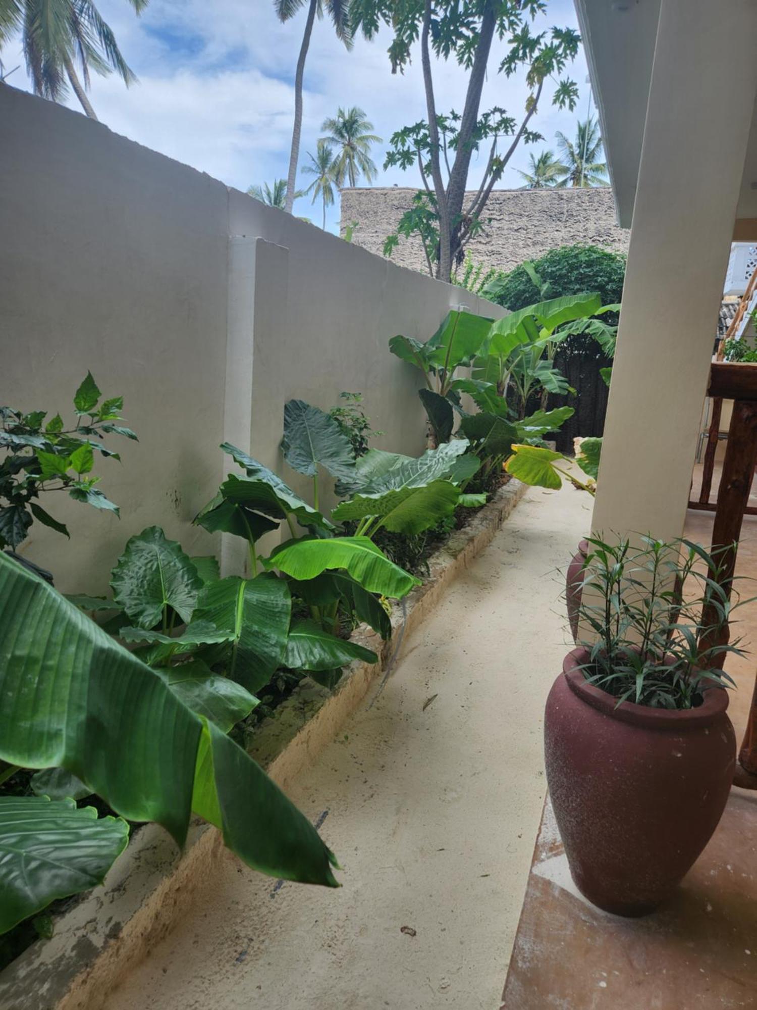 Hotel Two Palms Jambiani  Exterior foto
