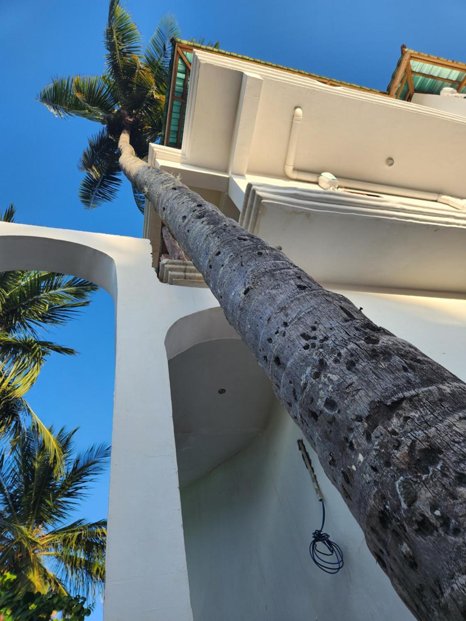 Hotel Two Palms Jambiani  Exterior foto